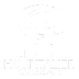 logo Centre Hospitalier Carcassonne